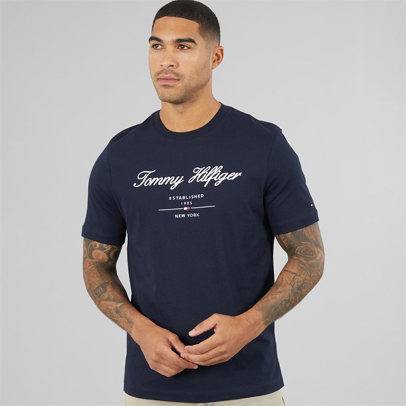 Tommy Hilfiger Mens Script Logo T-Shirt Desert Sky