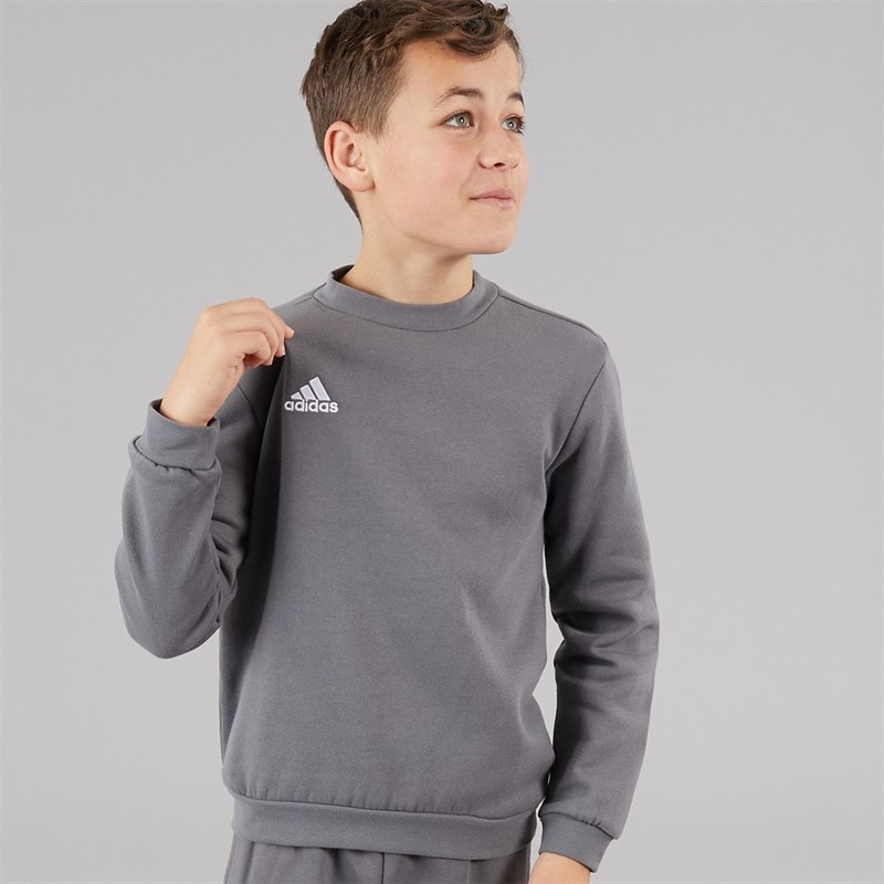 adidas Kids Entrada 22 Sweatshirt Team Grey Four