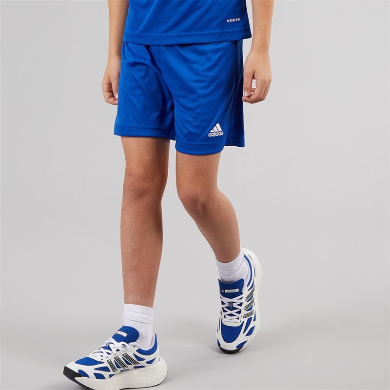 adidas Junior Boys Entrada 22 Shorts Team Royal Blue