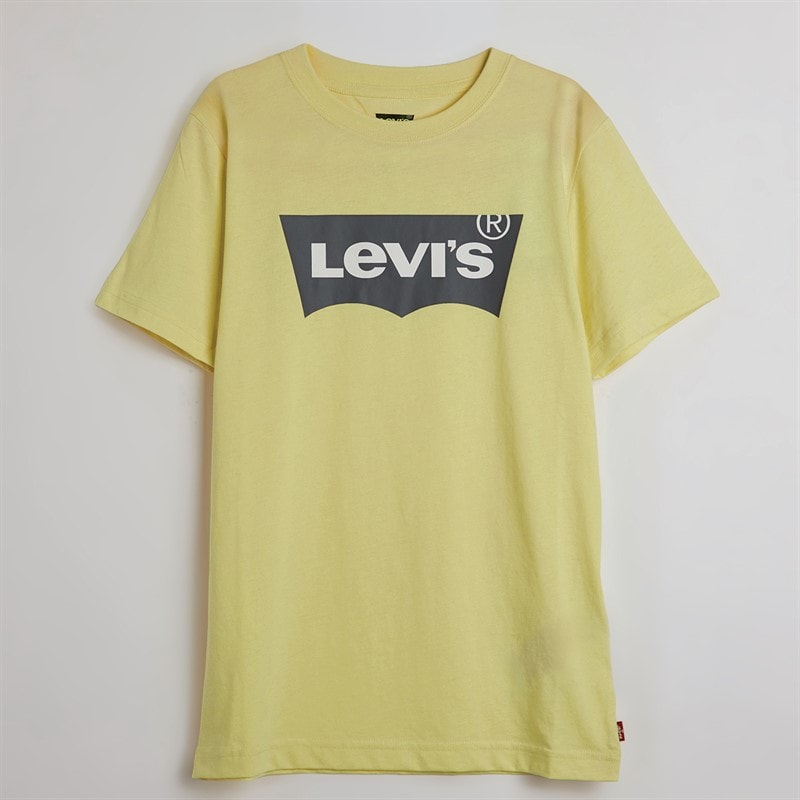 Levi's Boys Batwing T-Shirt Luminary Green