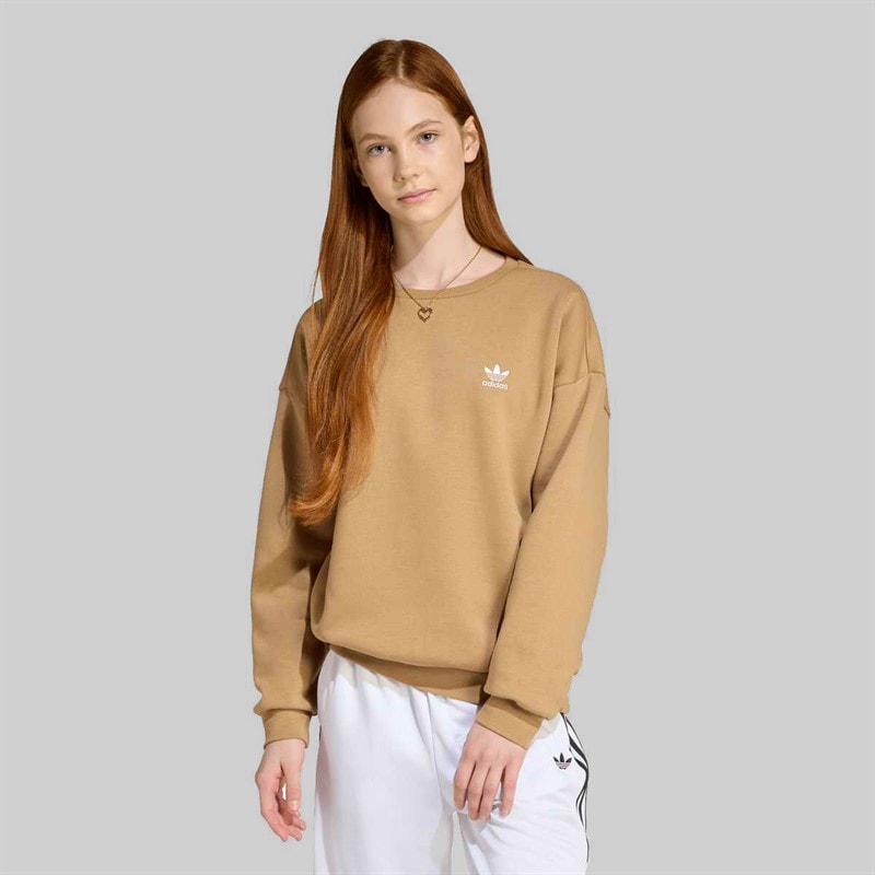 adidas Originals Junior Girls Trefoil Logo Boyfriend Fit Sweatshirt Cardboard