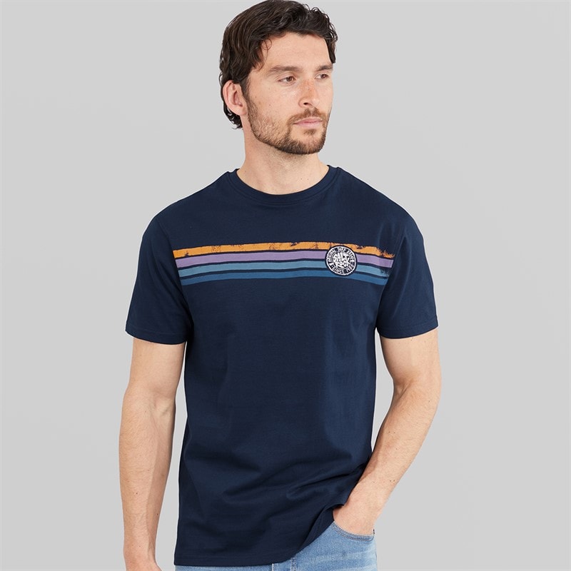 Saltrock Mens Spray Stripe T-Shirt Bluedres