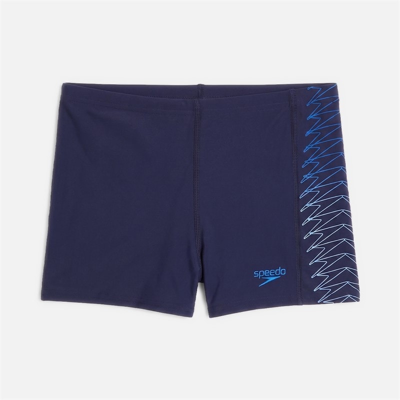 Speedo Junior Boys Placement Print Aqua Shorts Sugar Blue/Celeste/Iris Mirror